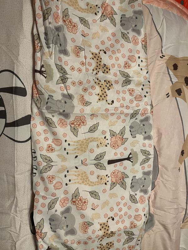 Sheet