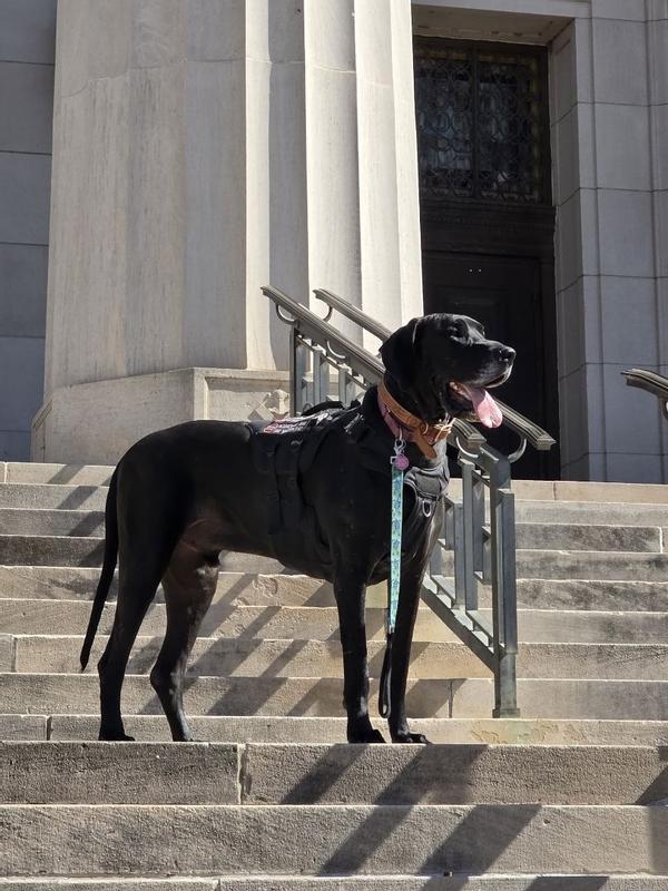 https://photos-us.bazaarvoice.com/photo/2/cGhvdG86ZmFybmFt/6bcb074f-e7e5-506a-8a3f-a29c92801adf