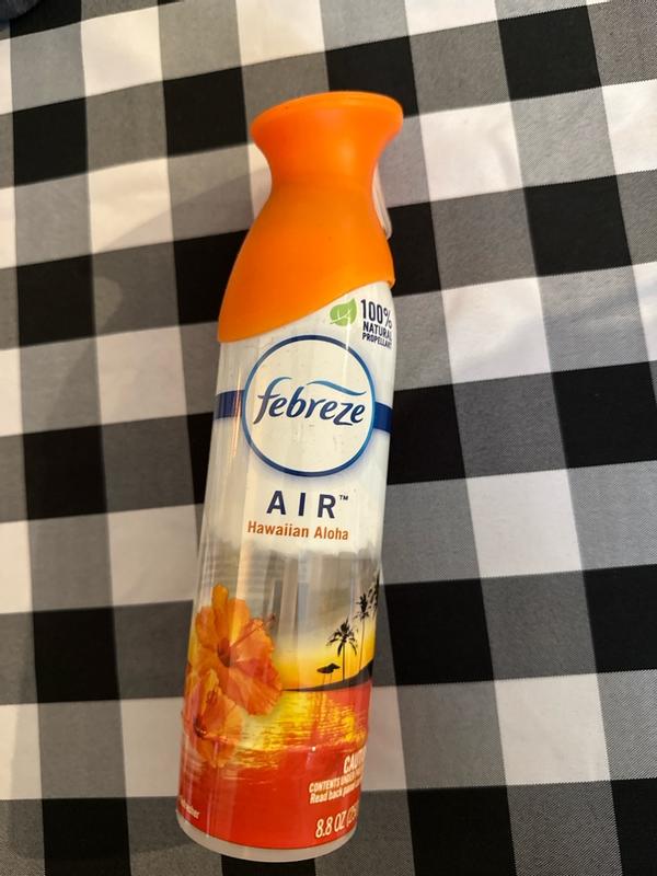 Photo - commentaire&nbsp;2.