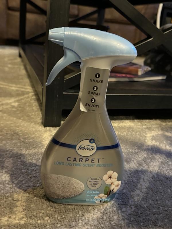 Photo - commentaire 5.