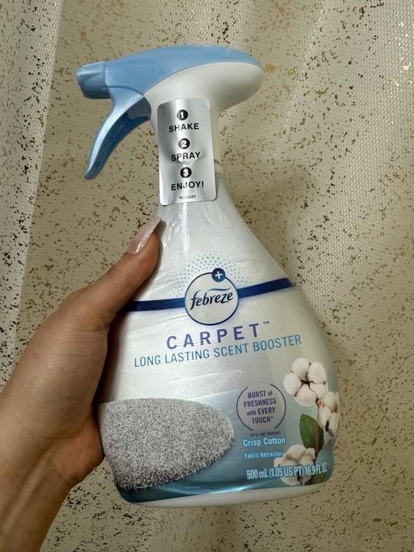 Photo - commentaire 2.