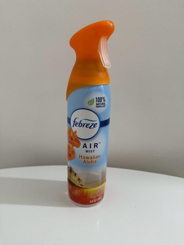 Photo - commentaire&nbsp;2.