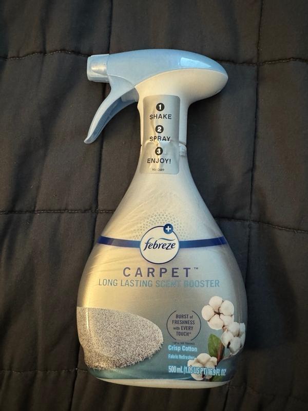 Photo - commentaire 7.