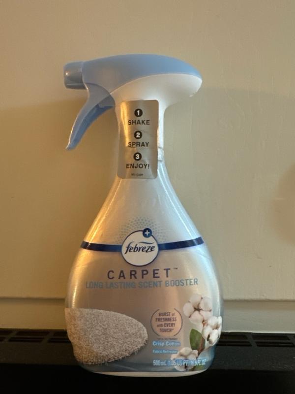 Photo - commentaire 6.