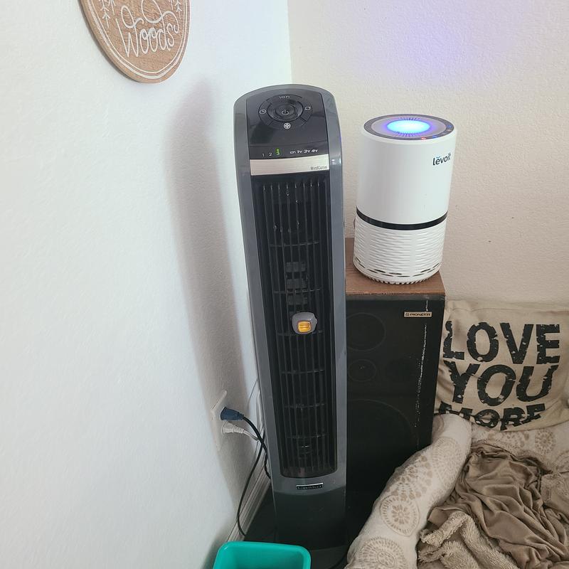 Photo - commentaire 2.