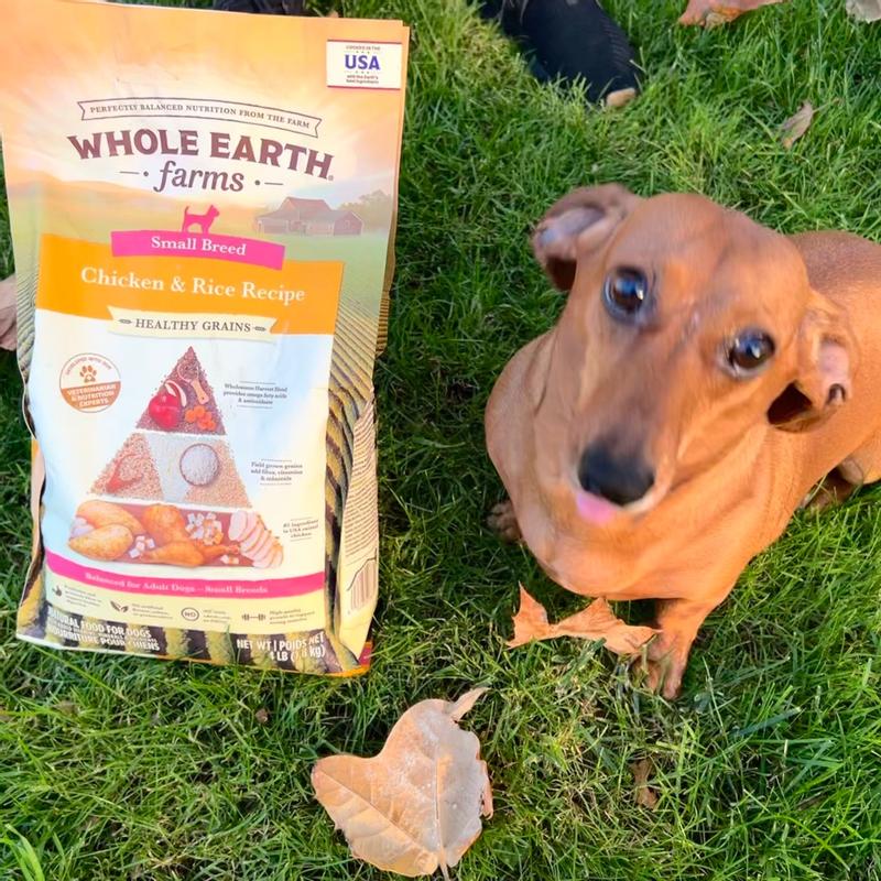 Whole earth small breed hotsell dog food