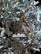 User submitted photo