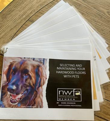 Photo - commentaire 1.