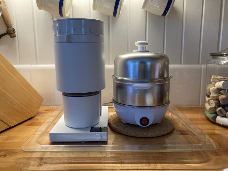 White Burr Grinder 2025