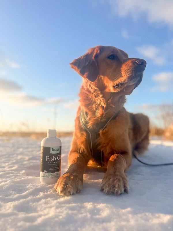 Fera Pet Fish Oil + Vitamin E Supplement for Dog & Cat, 16 oz. Petco