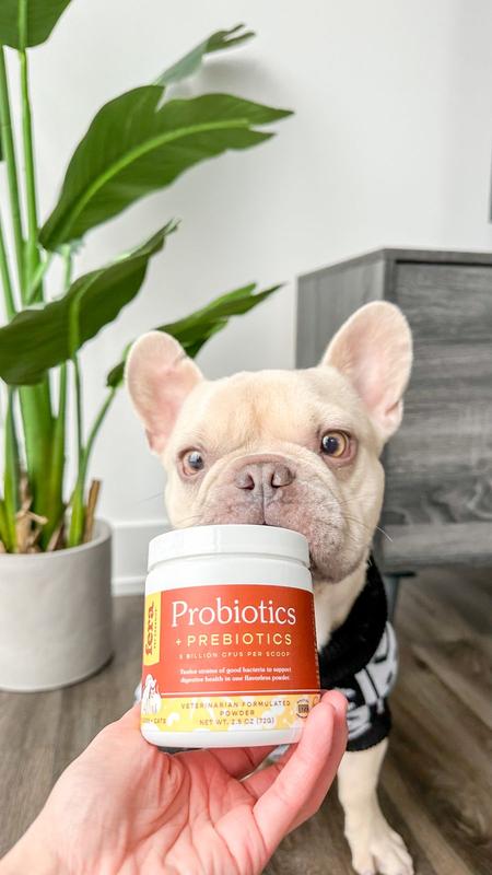 Fera probiotics best sale for dogs