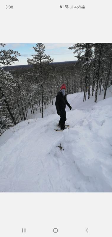 Hiking with the pup and snowshoeing.