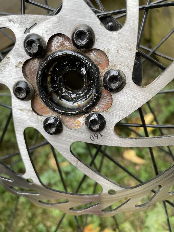 brake side image with bearing cup intact