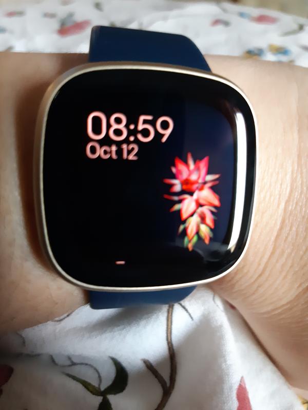 Fitbit versa 2025 sport chek