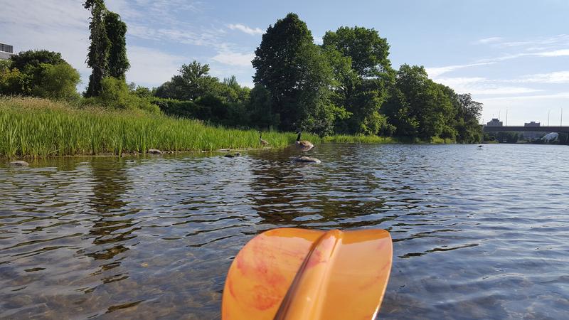 Capix Moses 8' Kayak