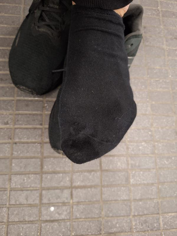 Front feet got wet