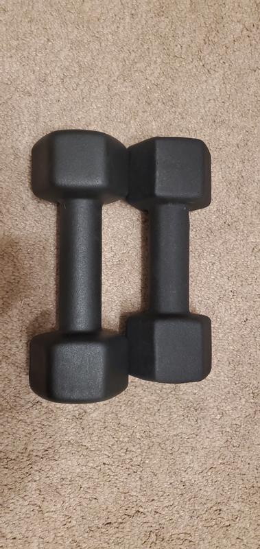 Sports chek online dumbbells