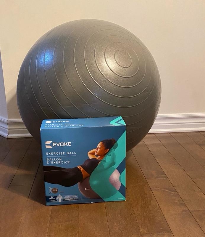 Sport chek exercise ball sale