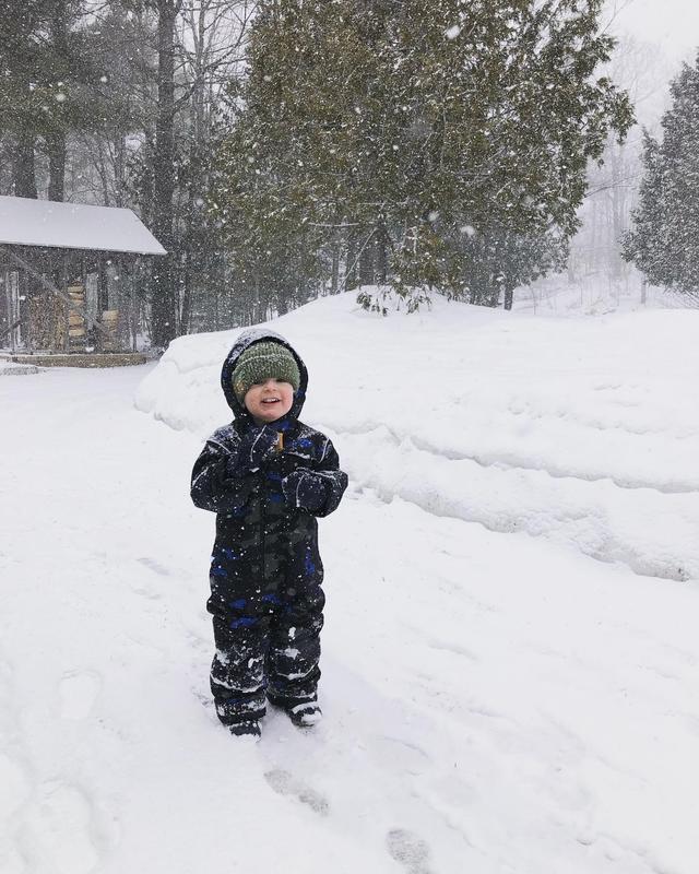 Ripzone Toddler Boys' 2-6 Wollblume Insulated Snowsuit SportChek