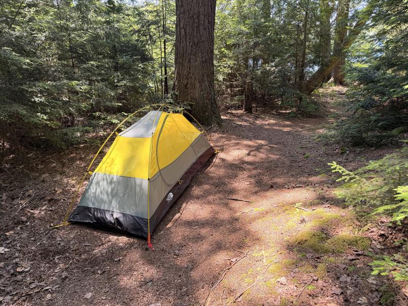 Deceptively small area for a tent, but it fit comfortably