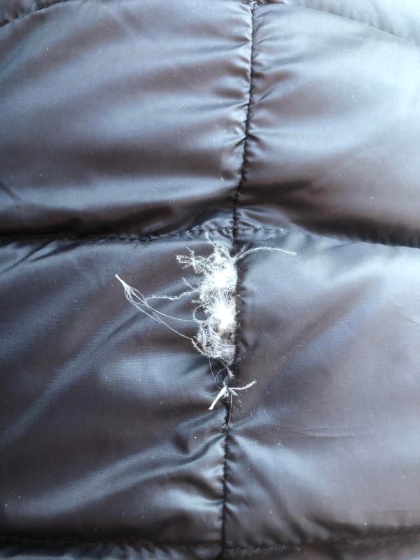 Ripped seam; less than one month old.