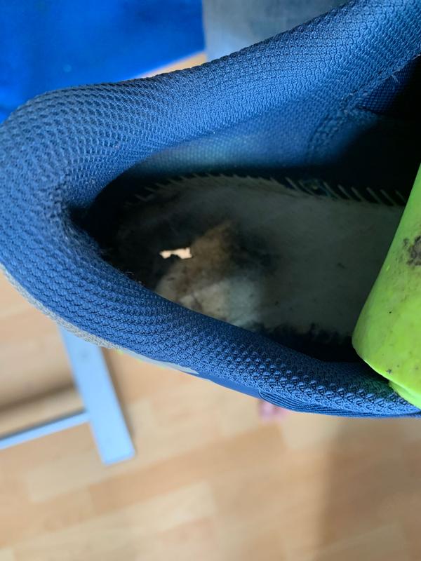 where those rocks ended up destroying this shoe