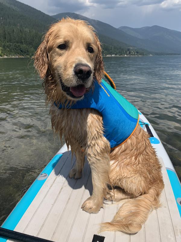 Sawyer sailing aboard the SUP, Kootenay Lake