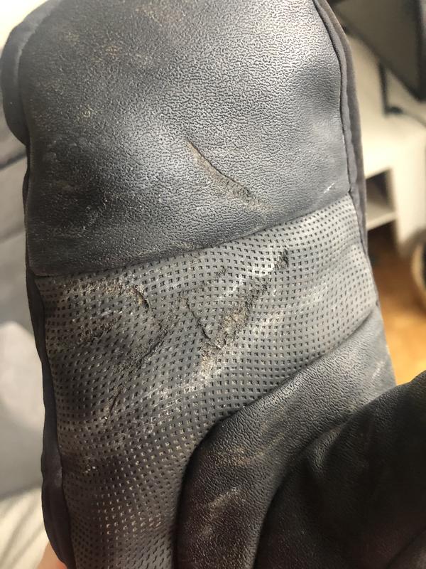 wear marks from leash pulling