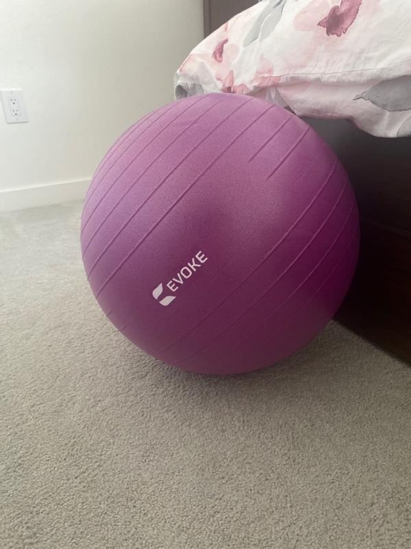 Sport chek exercise ball sale