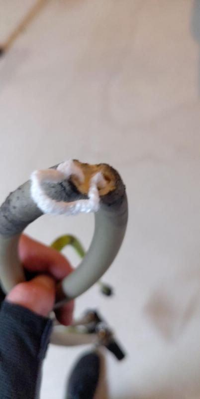 Rapid wear & tear