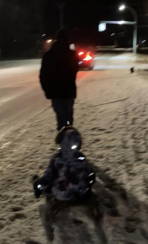 Reflective gear works amazing