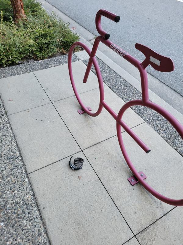 Left on the ground by bike theif