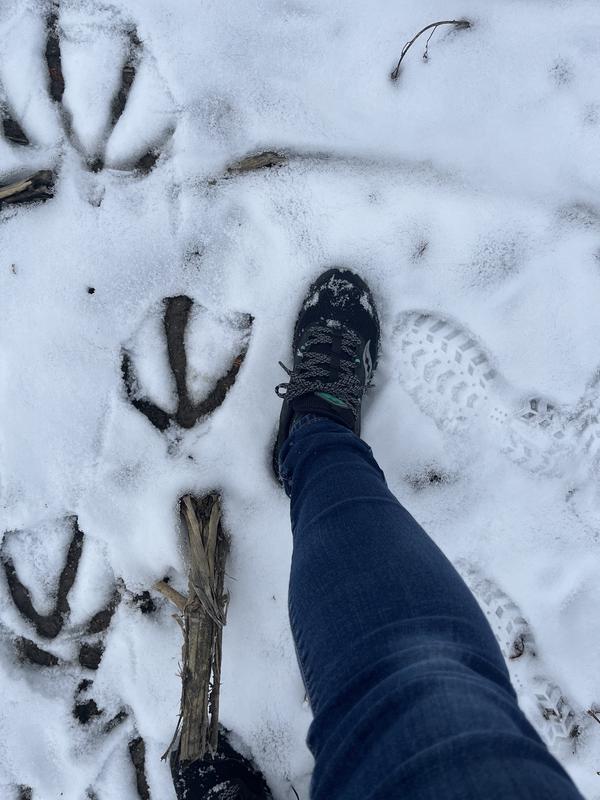 Review photo 2.