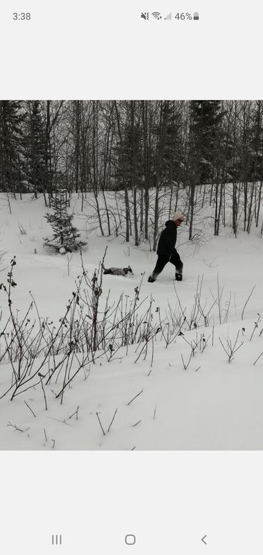 Review photo 2.
