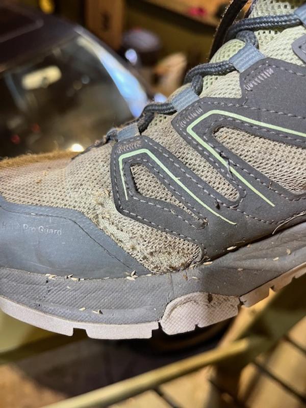 Photo - commentaire 2.