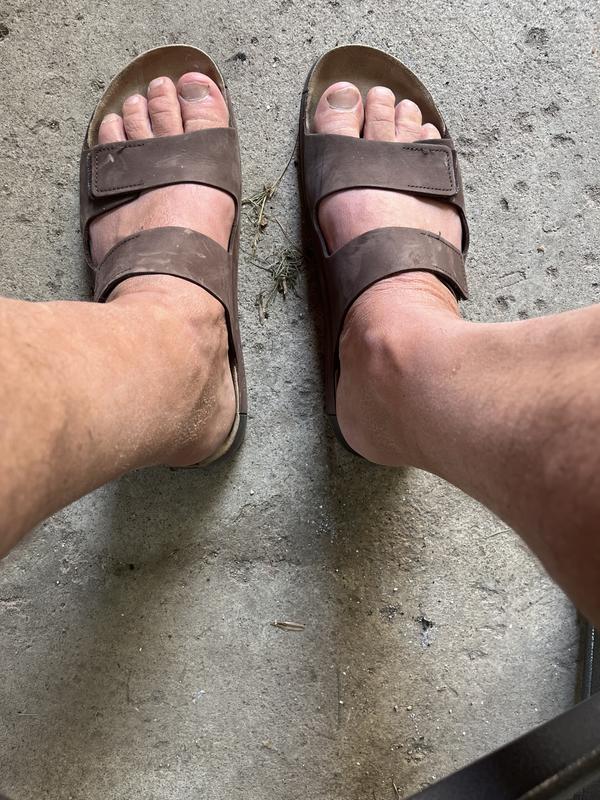 Ecco Men's 2nd Cozmo 2-Strap Sandals SportChek