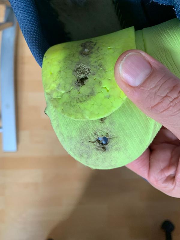 holes through both inserts as well from the rocks