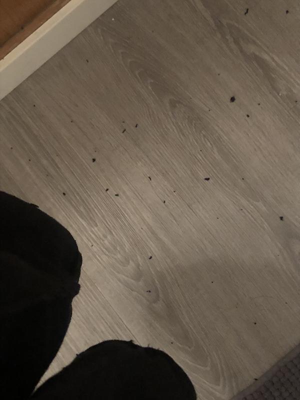 The fleece was everywhere