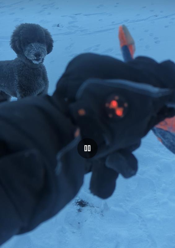 Best gloves for playing with dogs!