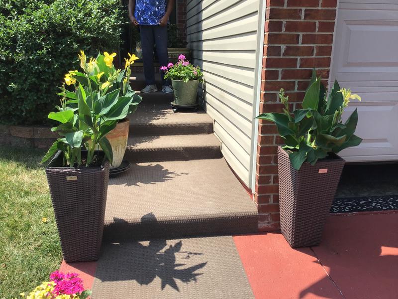 Very Nice, Indeed!,,