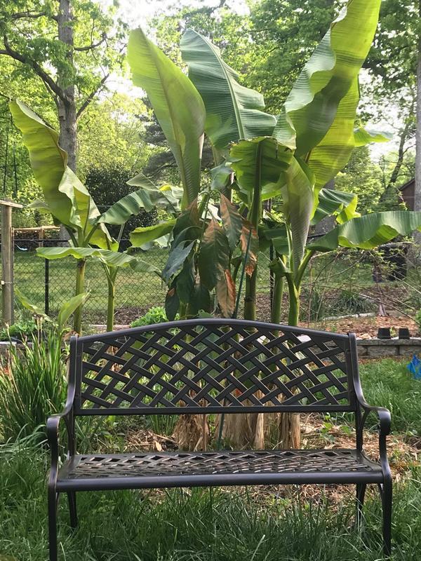 Beautiful addition to the landscape