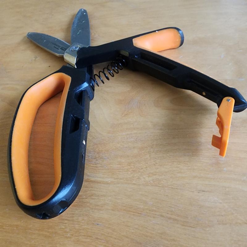 Photo - commentaire 6.