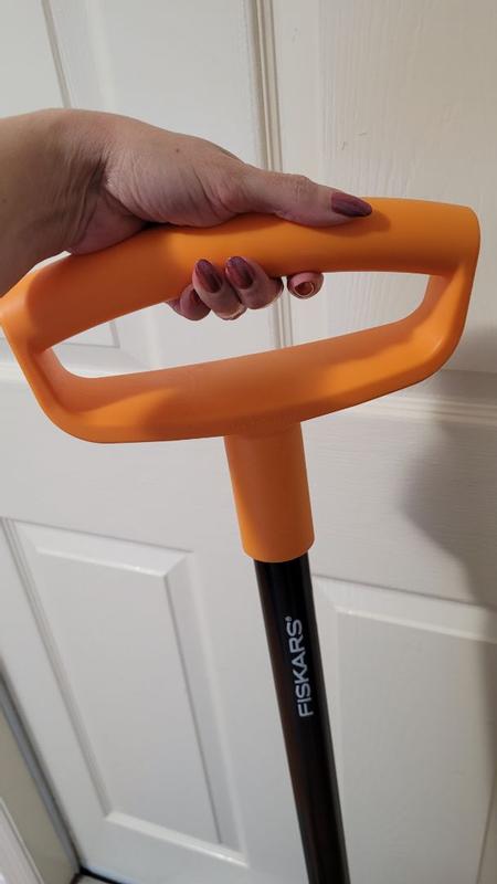 Photo - commentaire 5.