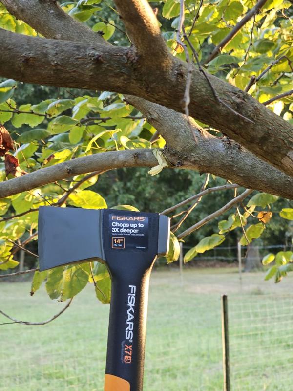 Photo - commentaire 7.