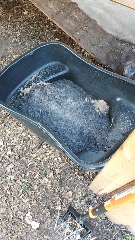 Sand and dirt dumped into the chicken bath, before mixing.