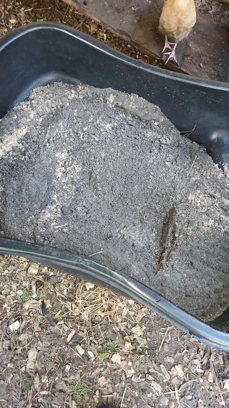 Sand and dirt all mixed together. My chickens were ready to get in.
