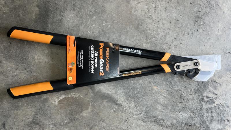 Photo - commentaire 8.