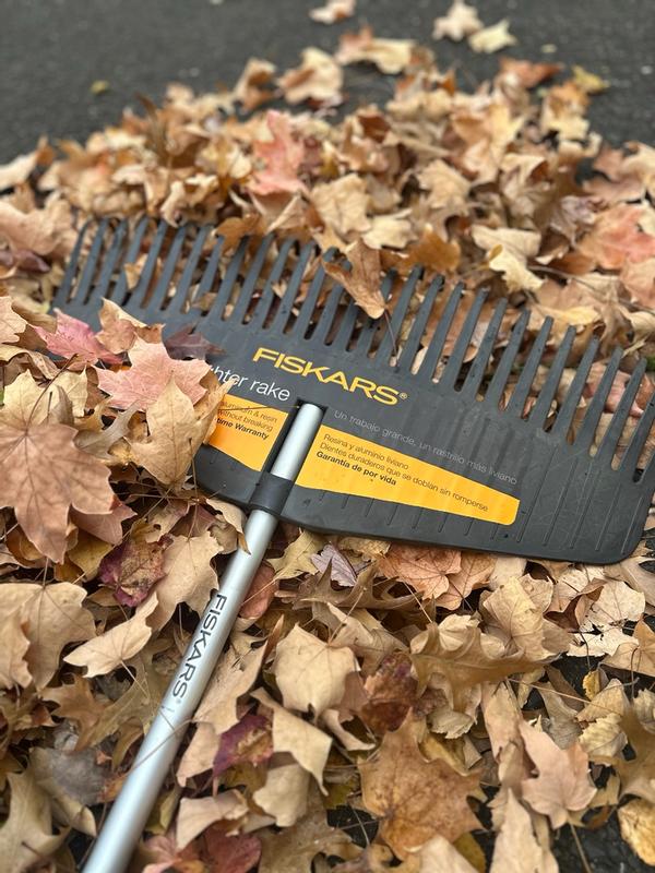 Photo - commentaire 1.