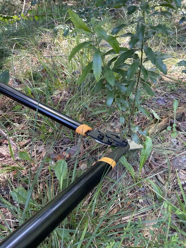 Photo - commentaire 1.