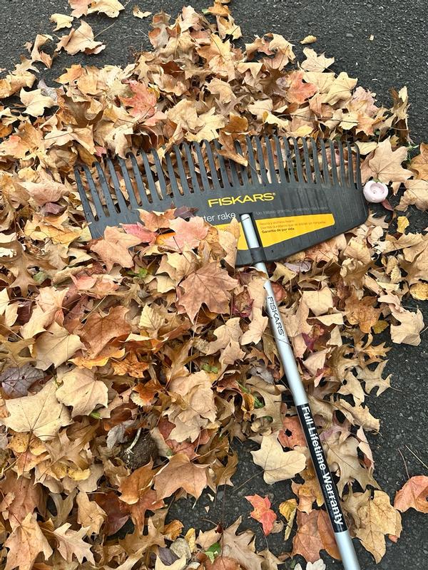 Photo - commentaire 2.